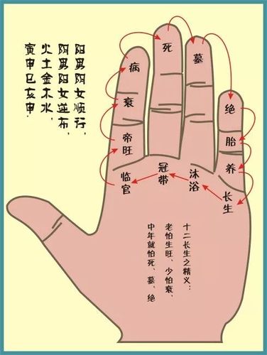 掐手指算命 掐手指算命是什么占卜