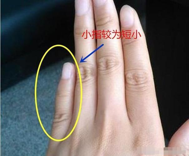 手相小指的长短也代表着某种意义
