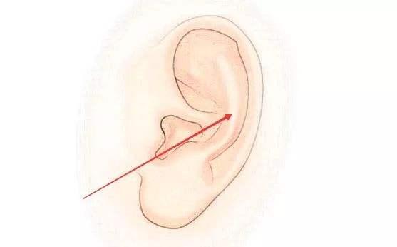 耳朵面相图解10种耳朵类型看懂你的性格及财运